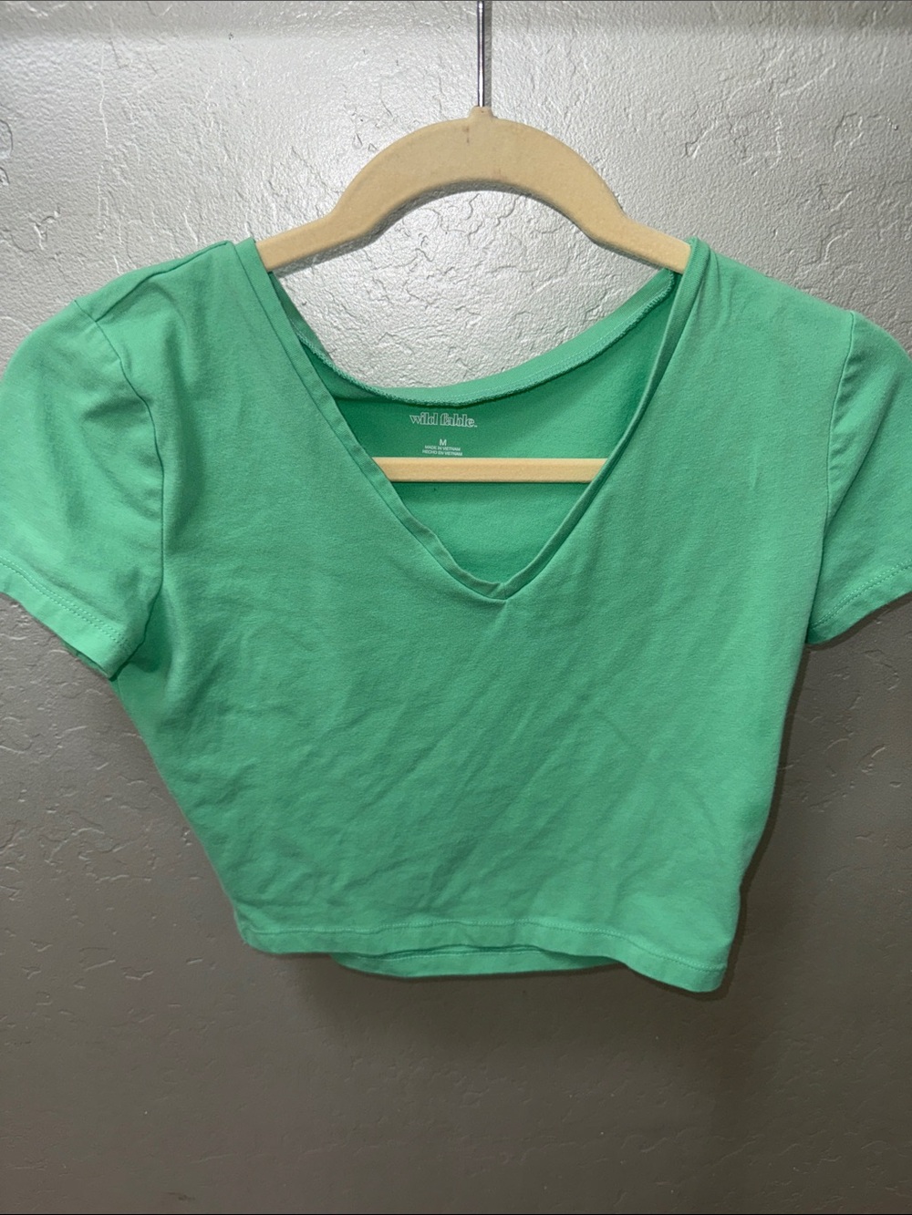 wild fable Mint Green V-Neck Cropped Tee